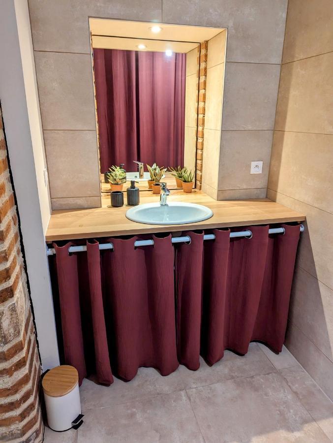Appartamento Douceur, Elegance Au Coeur D'Albi Esterno foto